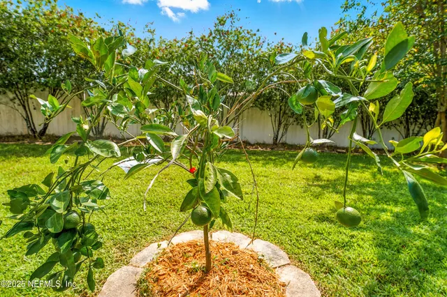 $620,000 | 2556 Cody Drive, Jacksonville, FL 32223