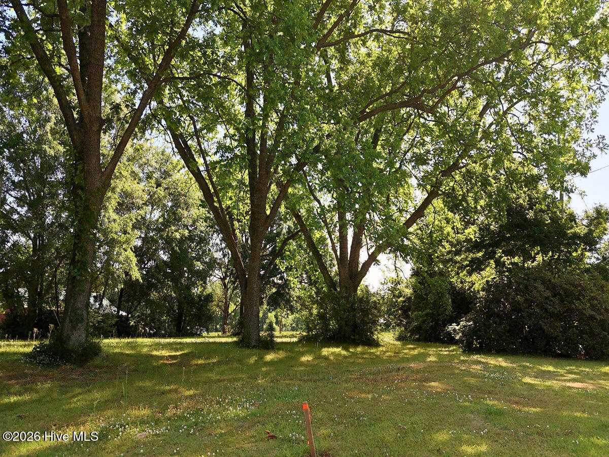 0 Old Chinquapin Road Beulaville, NC 28518 - Photo 25 of 31 25.