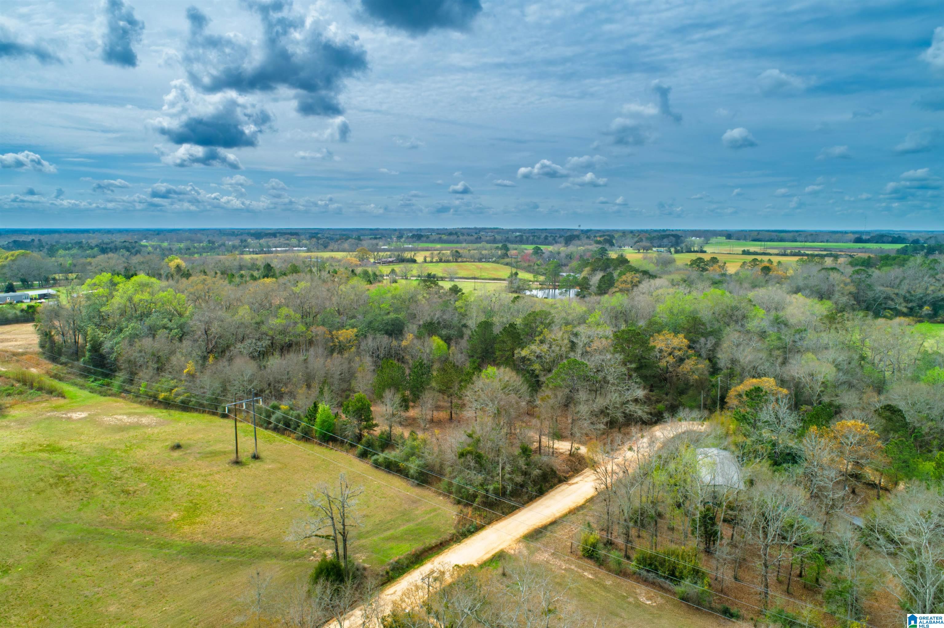 27180 Deer Run Road Opp, AL 36467 - Photo 5 of 60