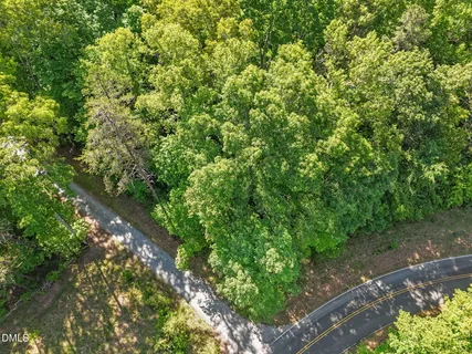 a view of a lush green forest