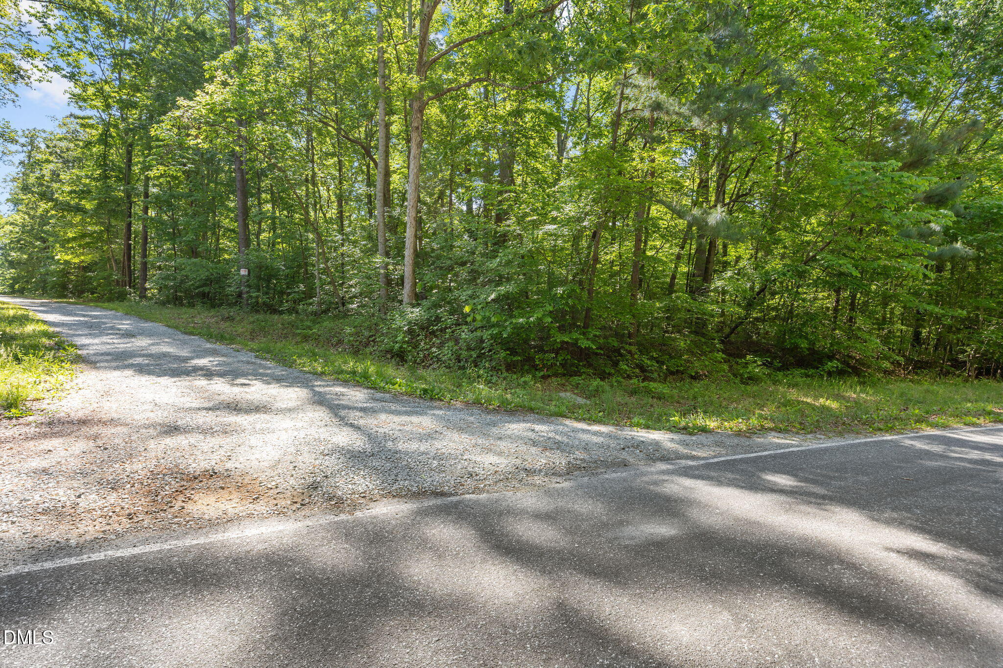 3820 Riversound Lane Rougemont, NC 27572 - Photo 11 of 14 a view of a yard with a trees