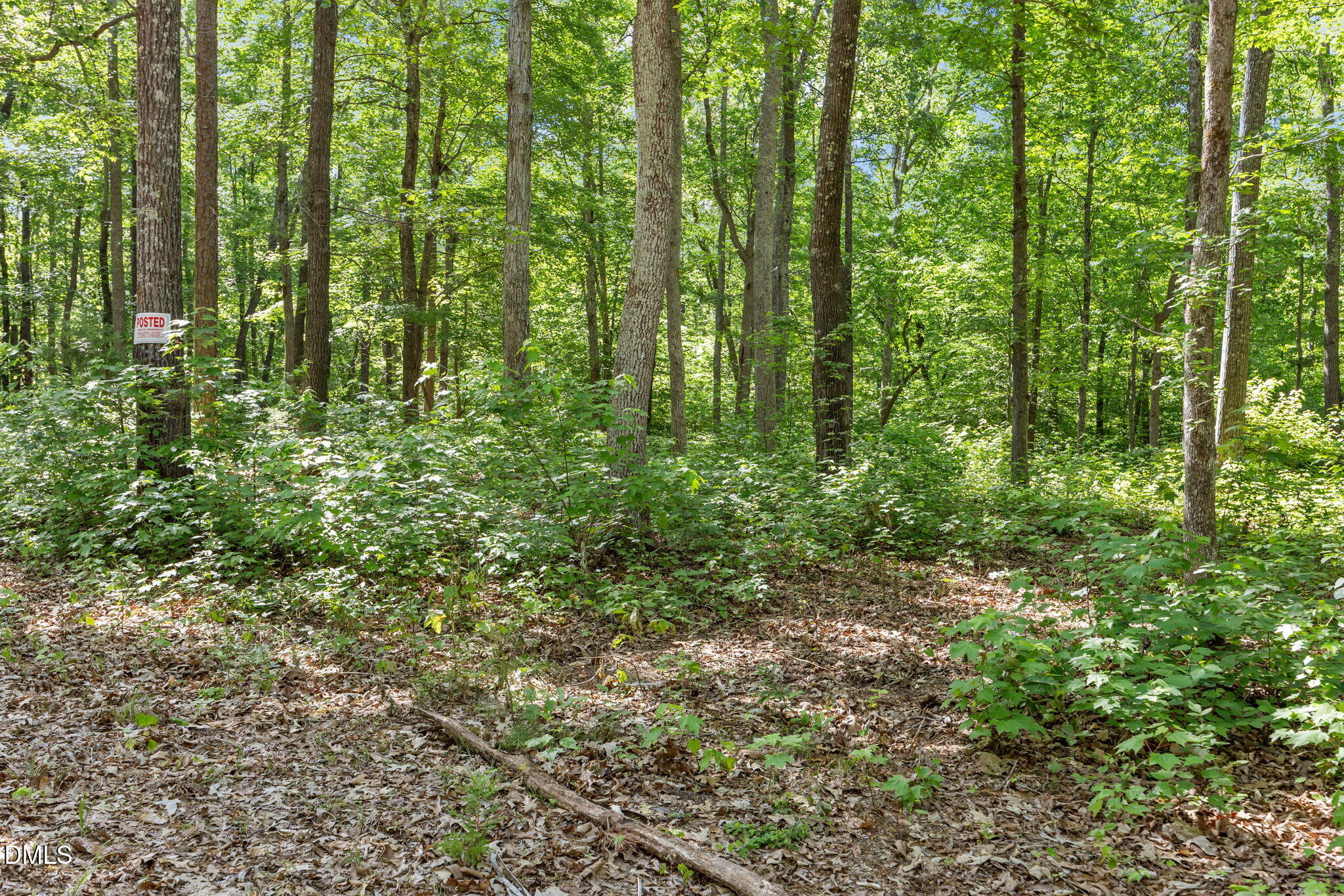 3820 Riversound Lane Rougemont, NC 27572 - Photo 12 of 14 a view of a garden