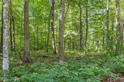 a view of outdoor space and garden