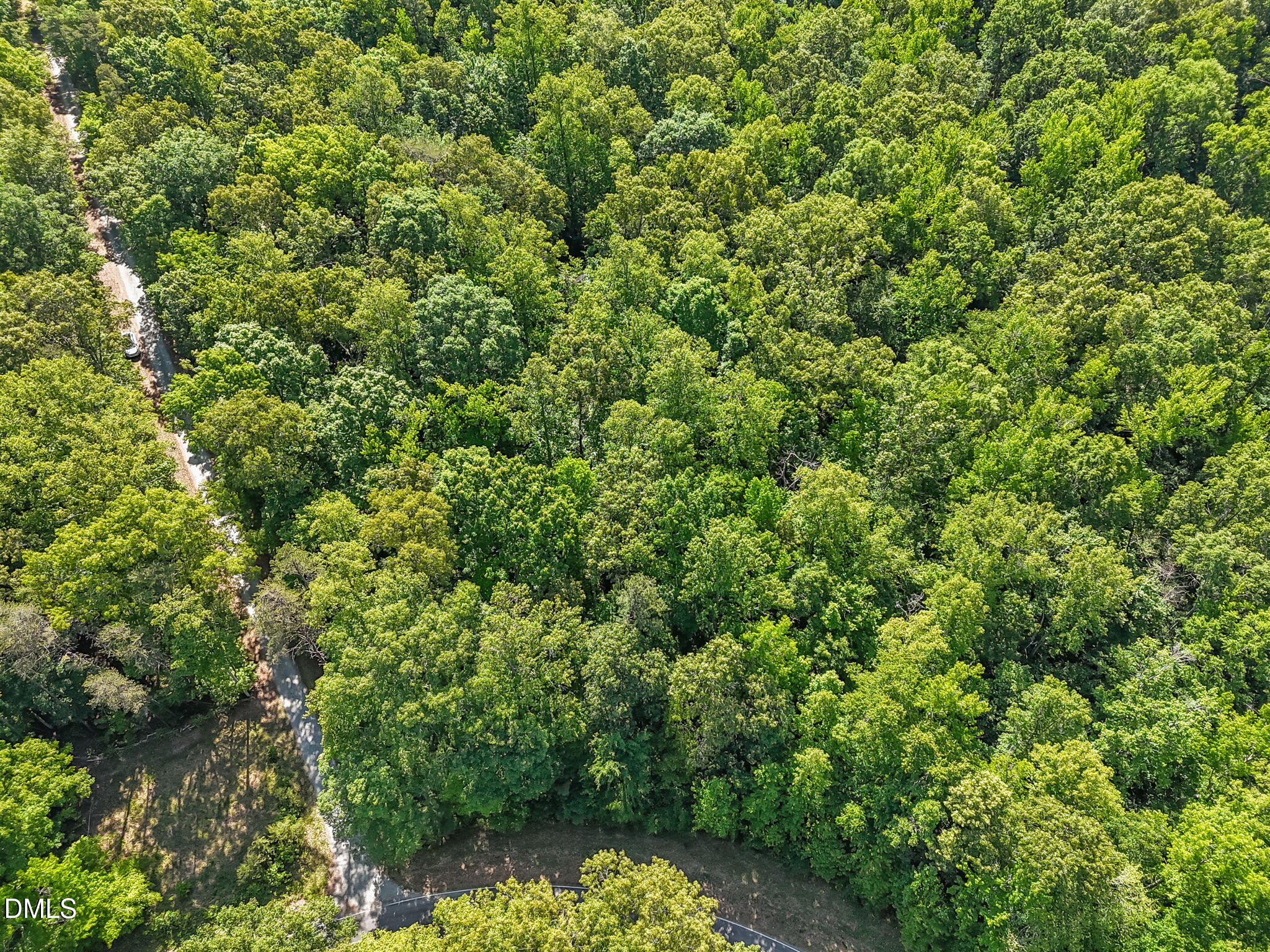 3820 Riversound Lane Rougemont, NC 27572 - Photo 2 of 14 a view of a lush green forest