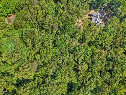a backyard of a house with a tree