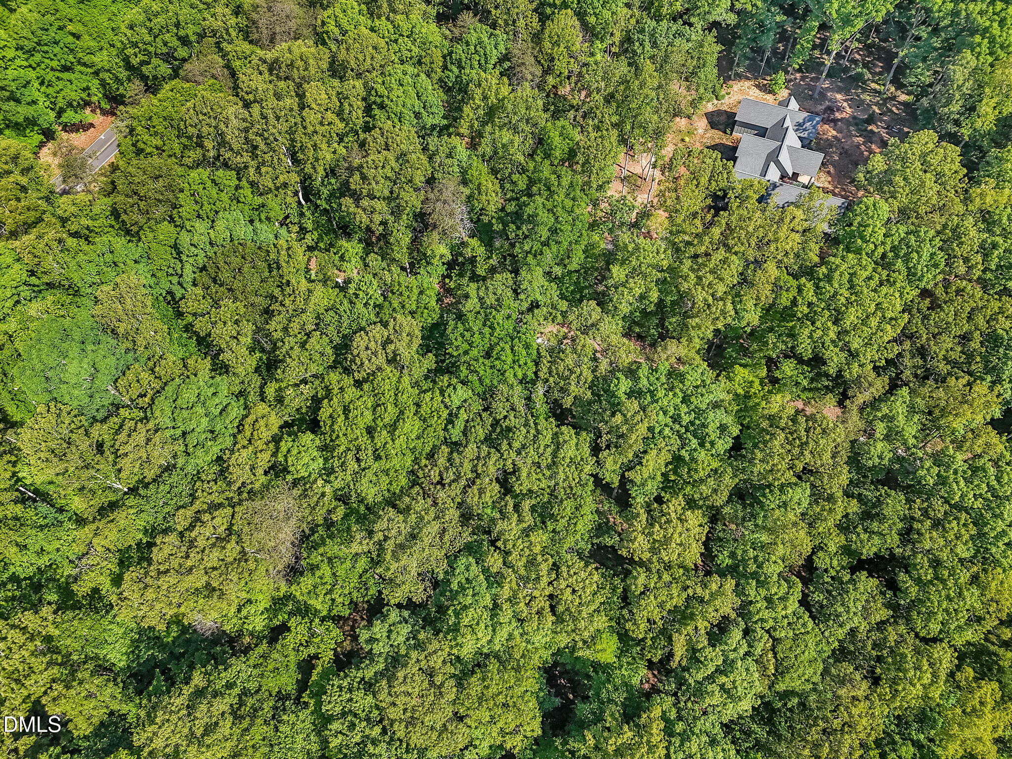 3820 Riversound Lane Rougemont, NC 27572 - Photo 3 of 14 a backyard of a house with a tree