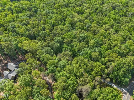 a view of a lush green forest