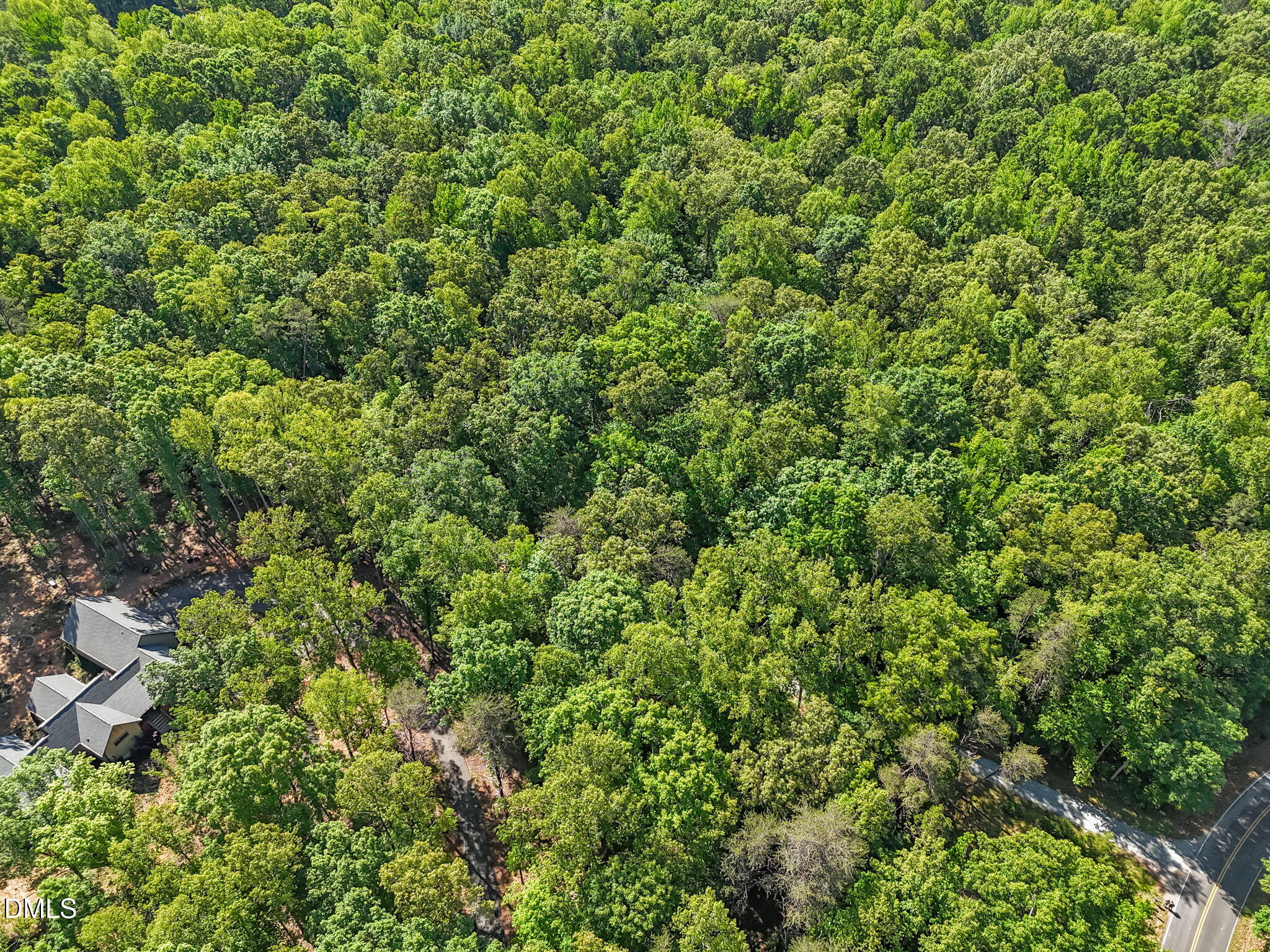 3820 Riversound Lane Rougemont, NC 27572 - Photo 4 of 14 a view of a lush green forest