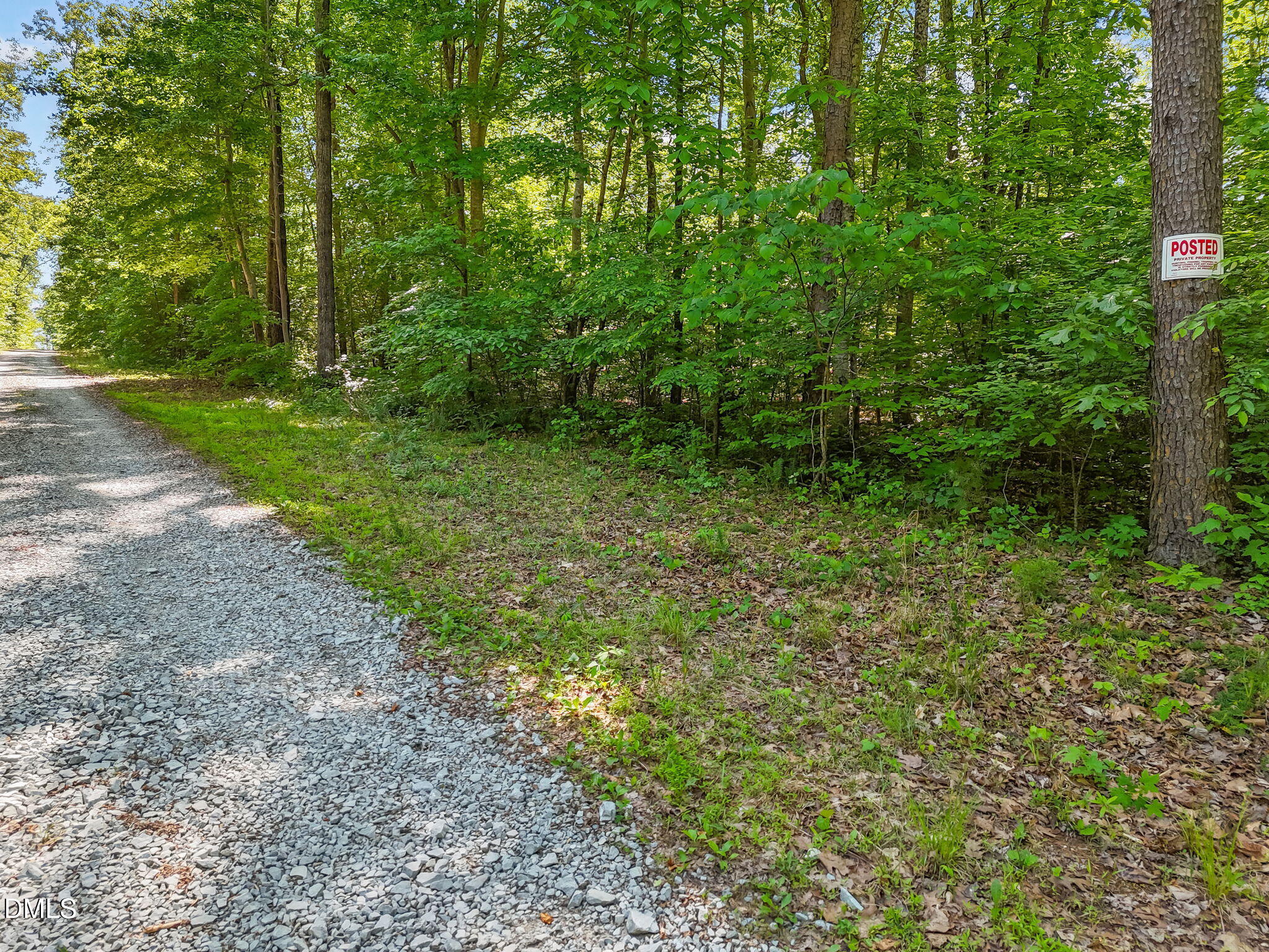 3820 Riversound Lane Rougemont, NC 27572 - Photo 5 of 14 a view of a yard with plants and trees