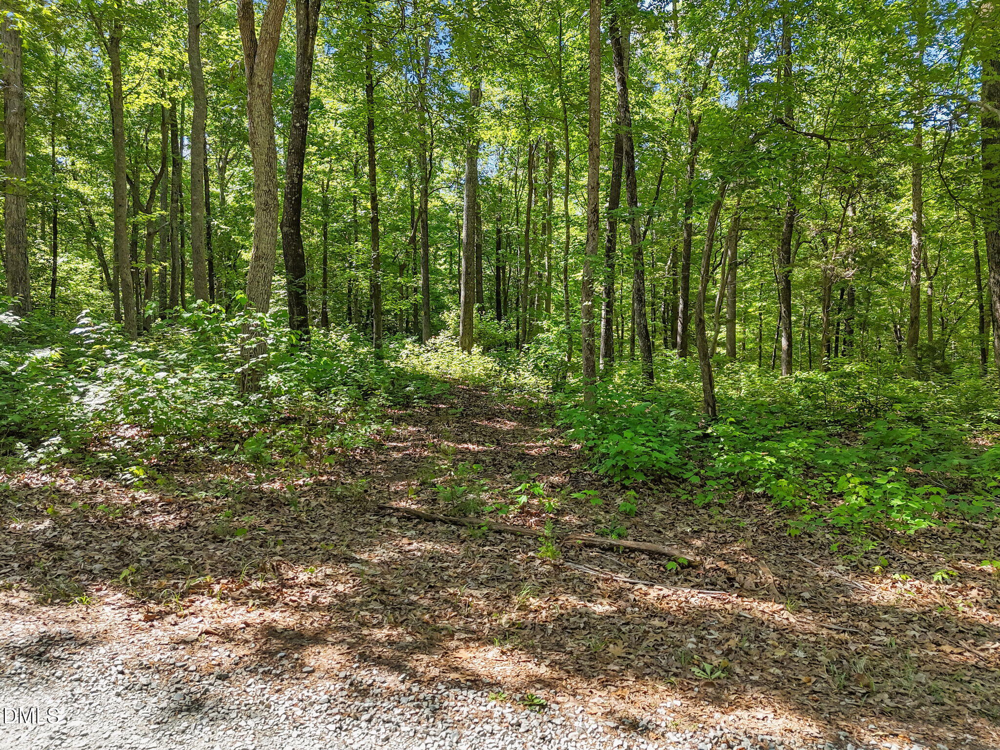 3820 Riversound Lane Rougemont, NC 27572 - Photo 6 of 14 a view of outdoor space and trees