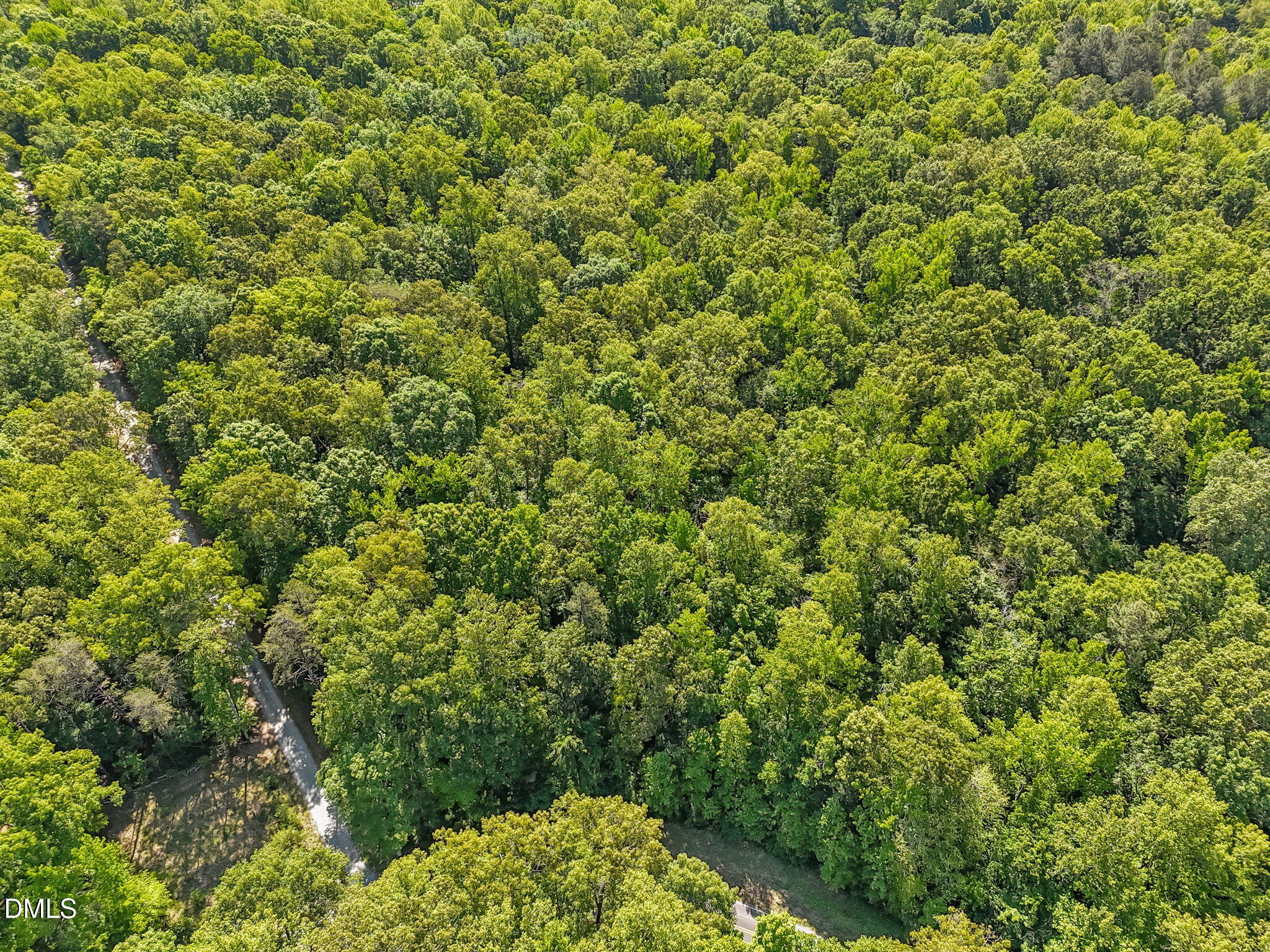 3820 Riversound Lane Rougemont, NC 27572 - Photo 10 of 14 a view of a yard