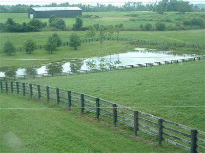 2325 Logana Road Nicholasville, KY 40356 - Photo 11 of 32 Large fenced spring fed pond.