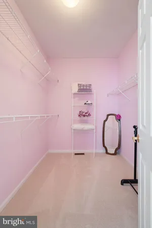 a view of a storage & utility room with racks on the wall