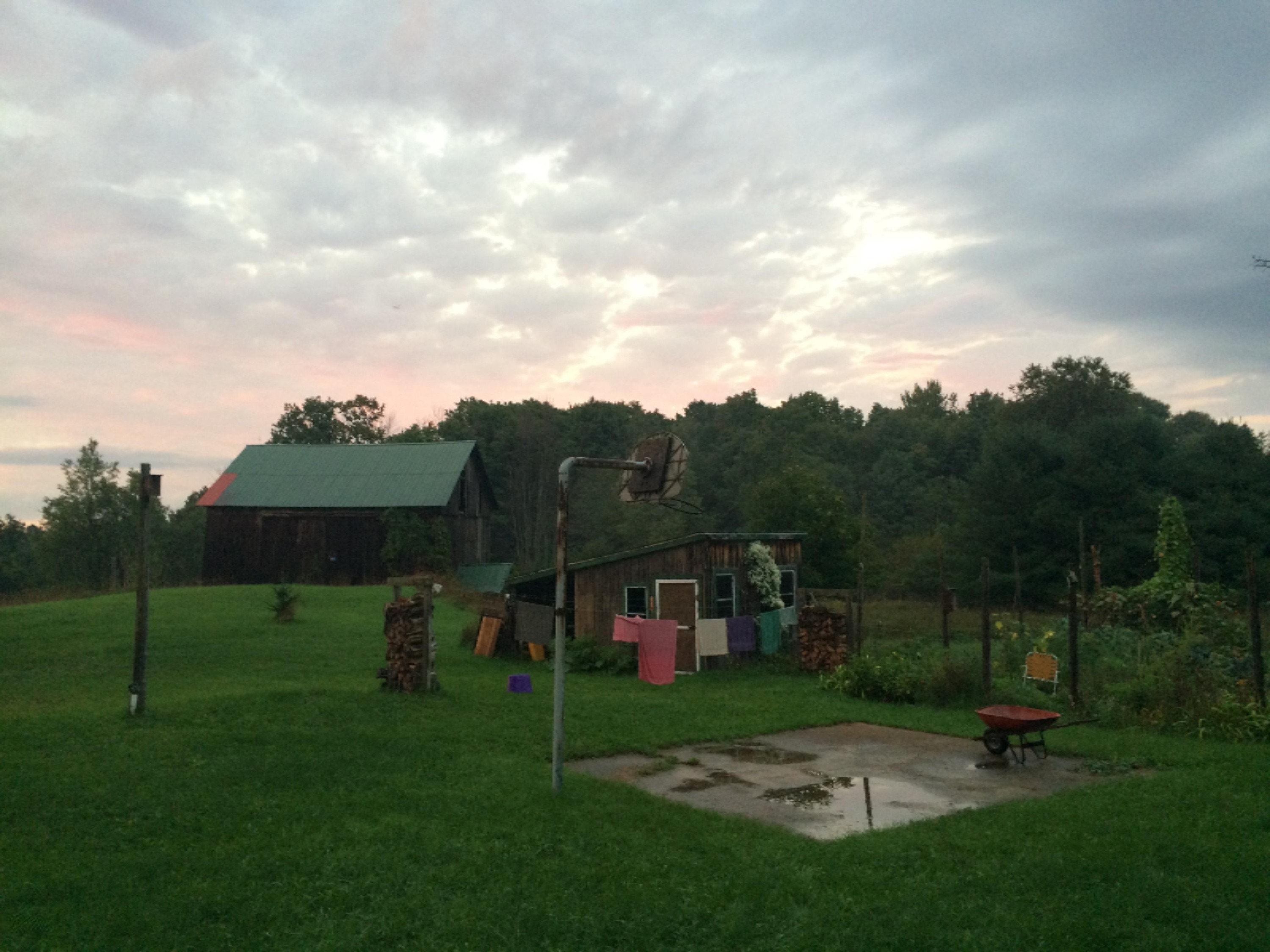 11510 Kerry Road Brethren, MI 49619 - Photo 17 of 30 Back Yard