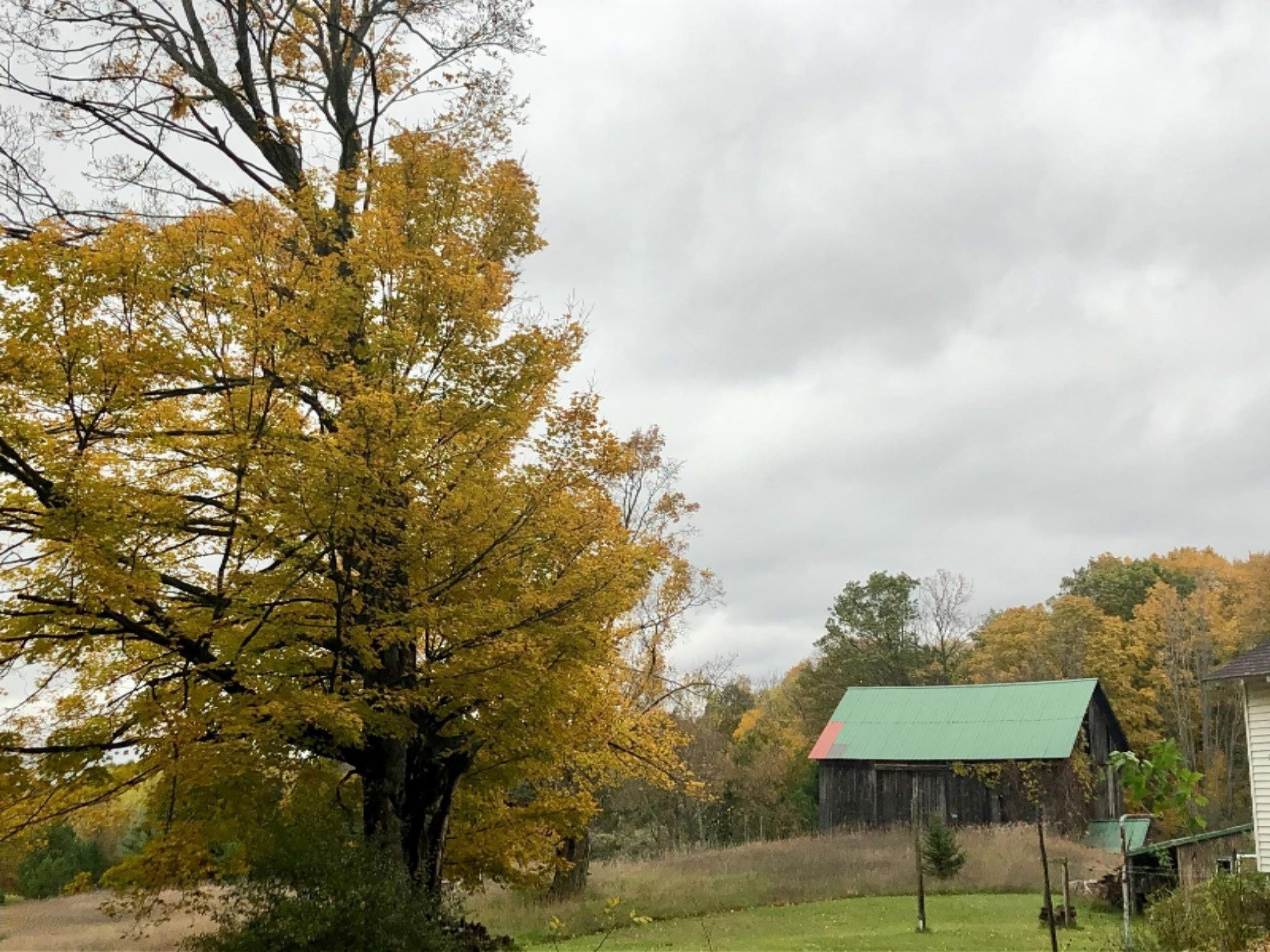 11510 Kerry Road Brethren, MI 49619 - Photo 20 of 30 View from House