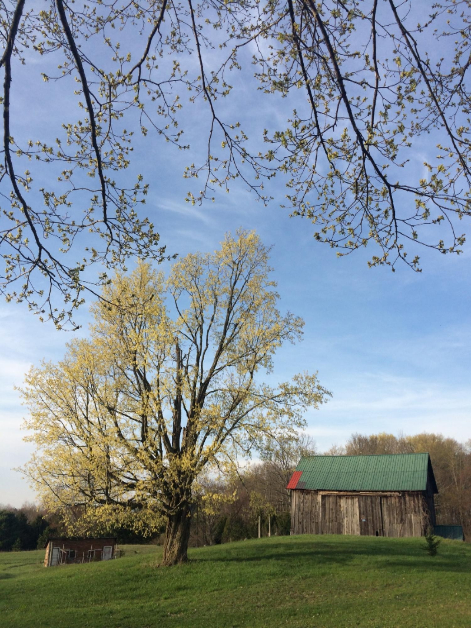 11510 Kerry Road Brethren, MI 49619 - Photo 21 of 30 Barn Spring