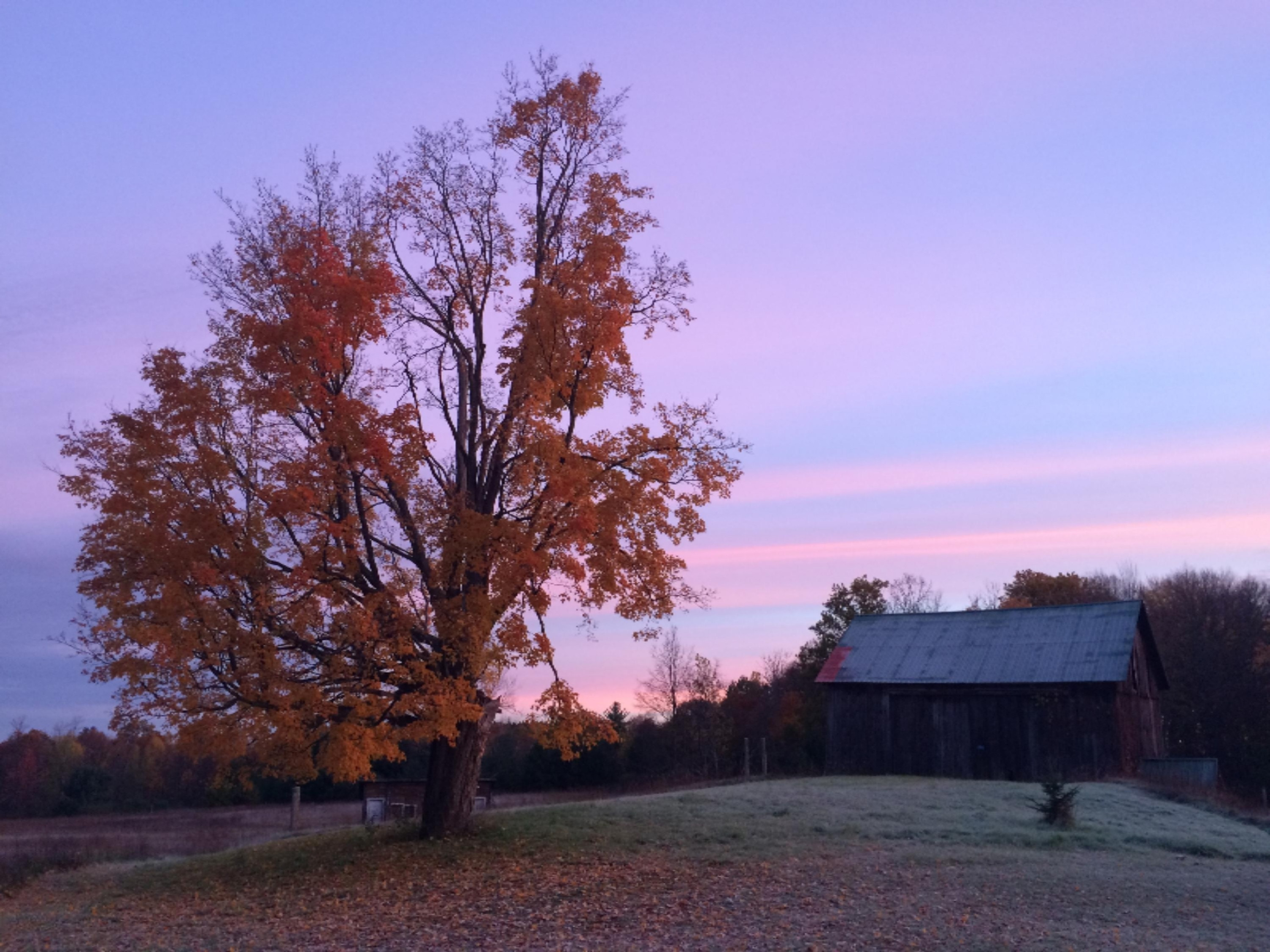 11510 Kerry Road Brethren, MI 49619 - Photo 24 of 30 Barn in Fall