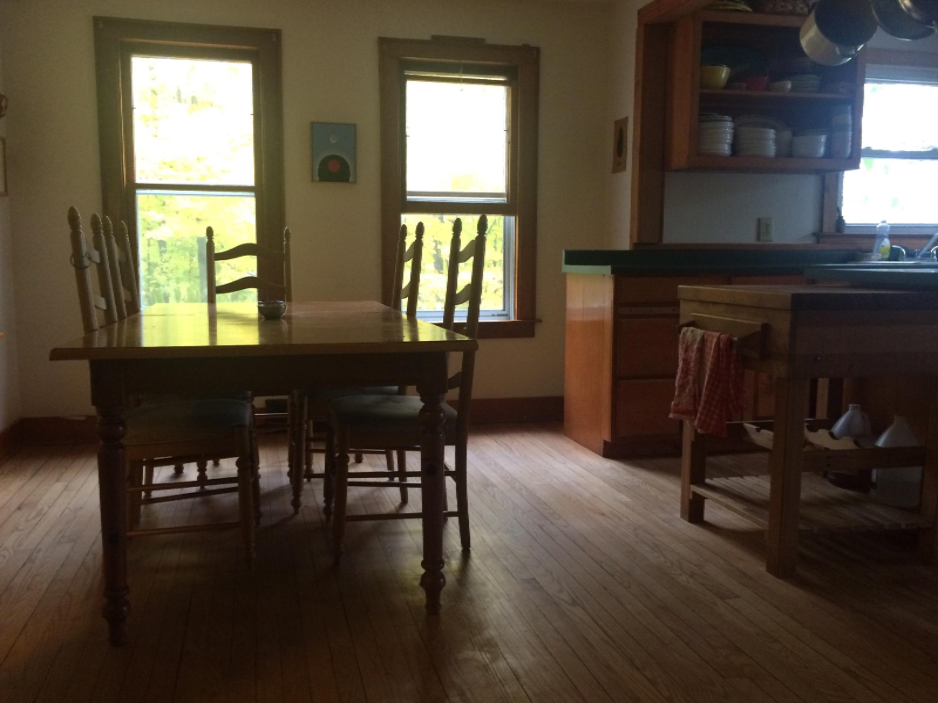 11510 Kerry Road Brethren, MI 49619 - Photo 10 of 30 Dining Area