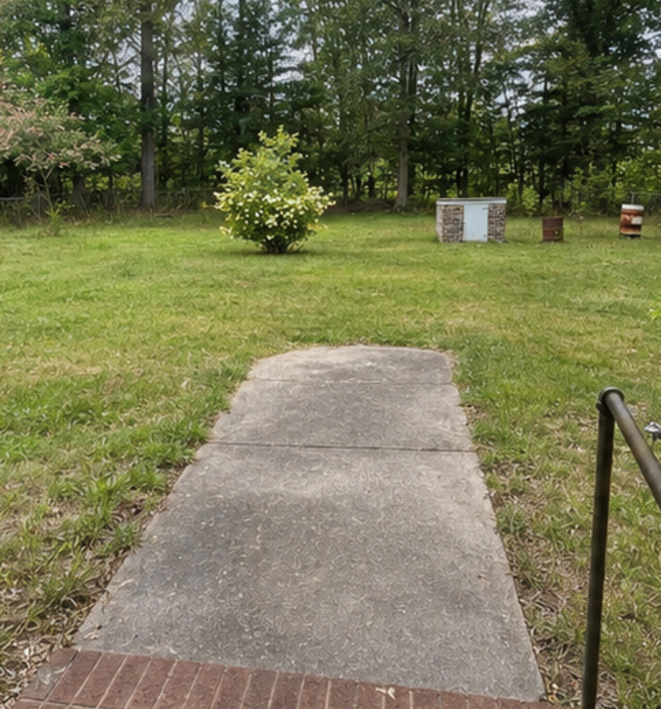 3385 St Peters Road Walterboro, SC 29488 - Photo 6 of 6