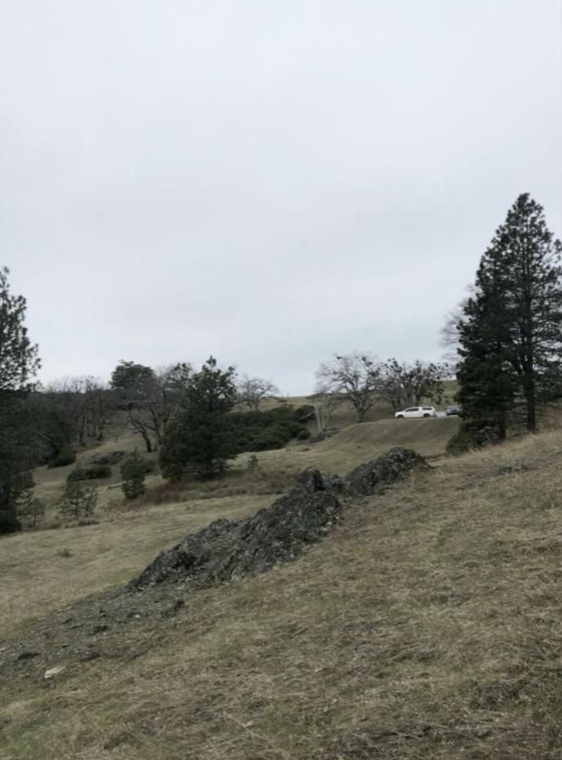 0 Buck Mountain Road Bridgeville, CA 95526 - Photo 5 of 8