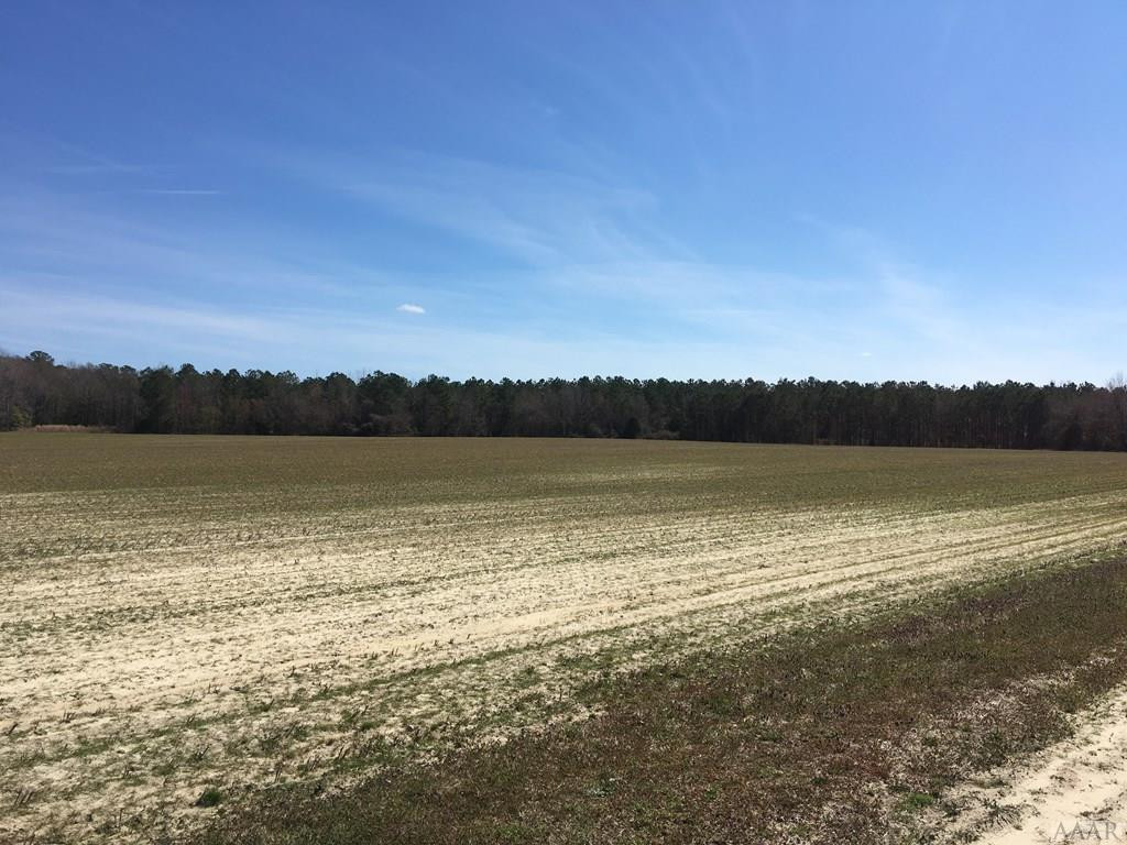 3538 Ashleys Grove Road Conway, NC 27820 - Photo 20 of 23 Gallery Image 20