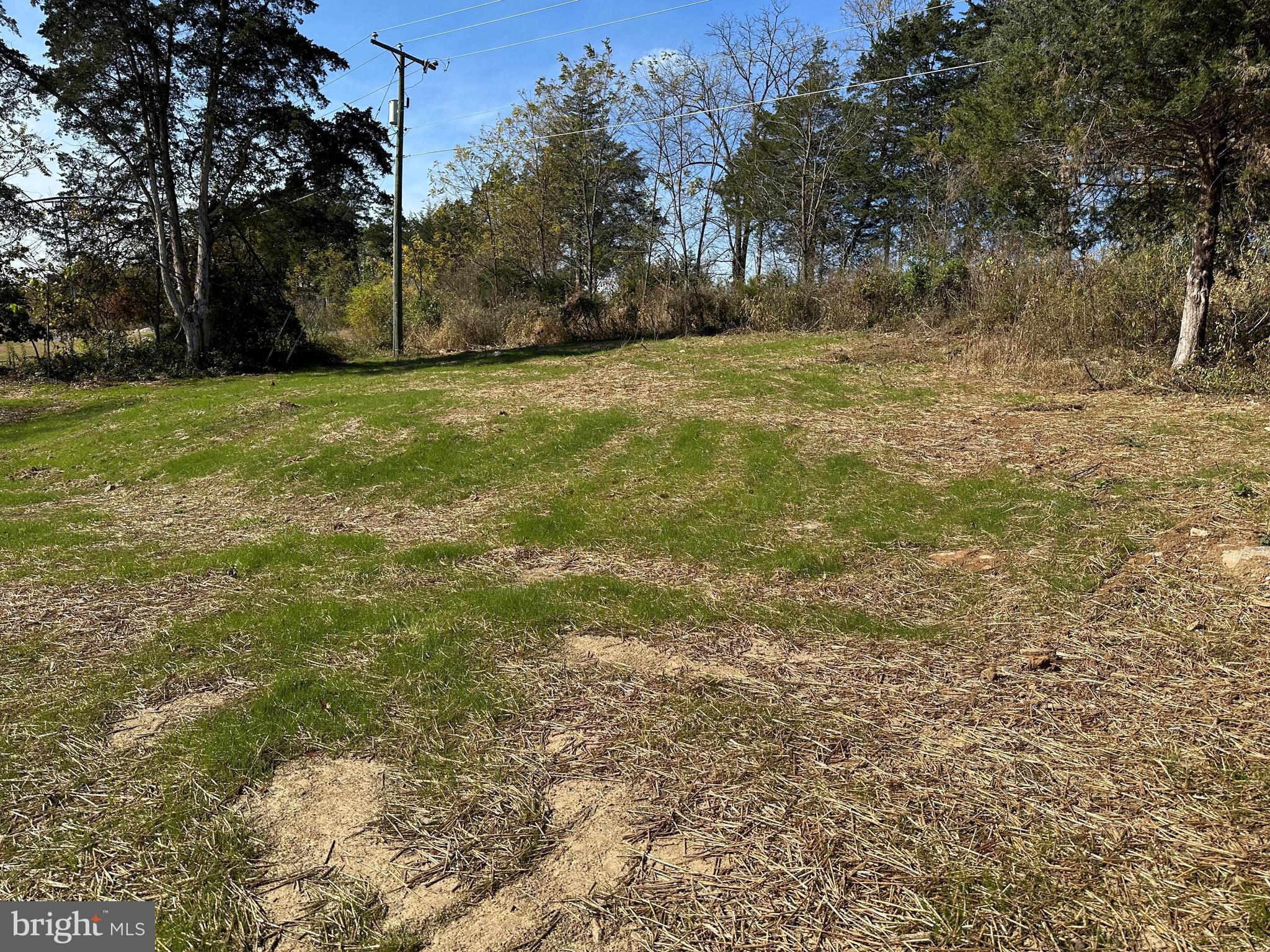 485 Toll House Road Maurertown, VA 22644 - Photo 16 of 18 a view of a field with trees in the background