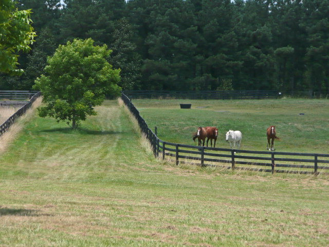 624 Duncan Road Johnston, SC 29832 - Photo 14 of 17
