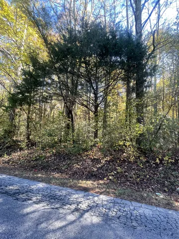 $106,000 | 0 Hayes Road South, Lawrenceburg, TN 38464