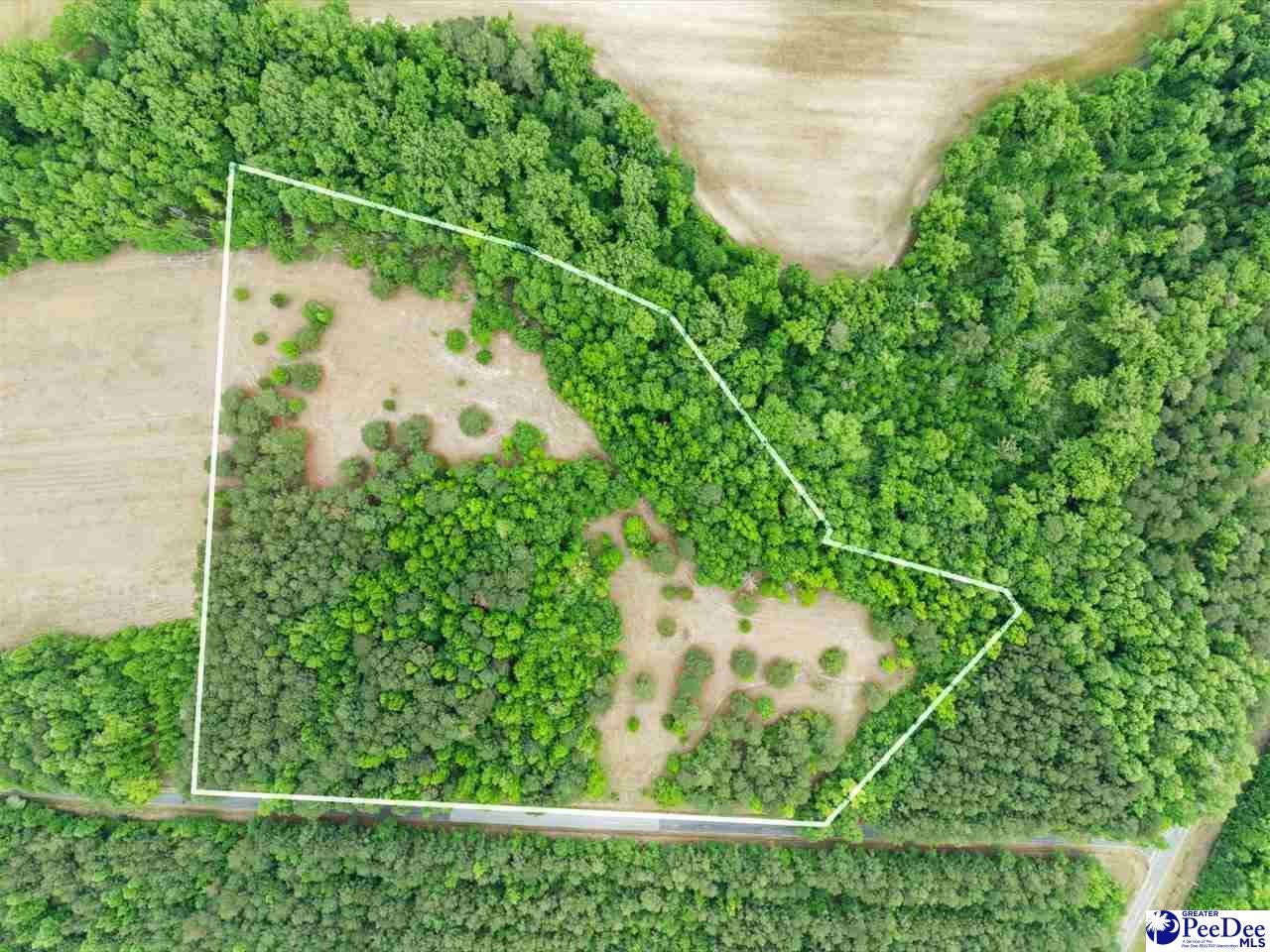 Daniel Chapel Road McColl, SC 29570 - Photo 2 of 42 Gallery Image 2