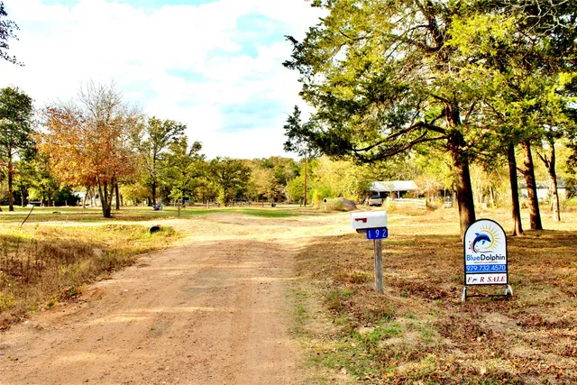 a view of a backyard with a tree
