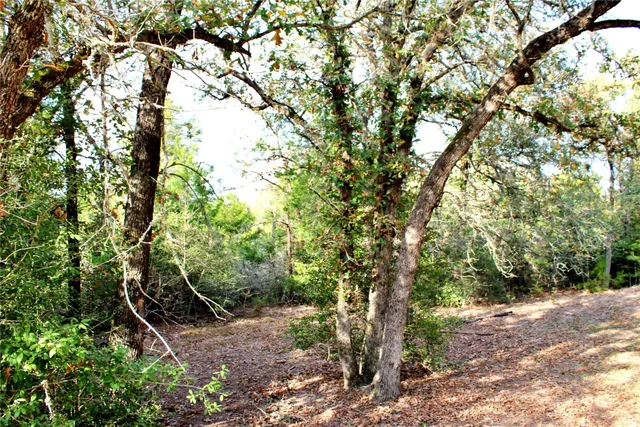 $299,900 | 192 Plum Acres Lane, West Point, TX 78963