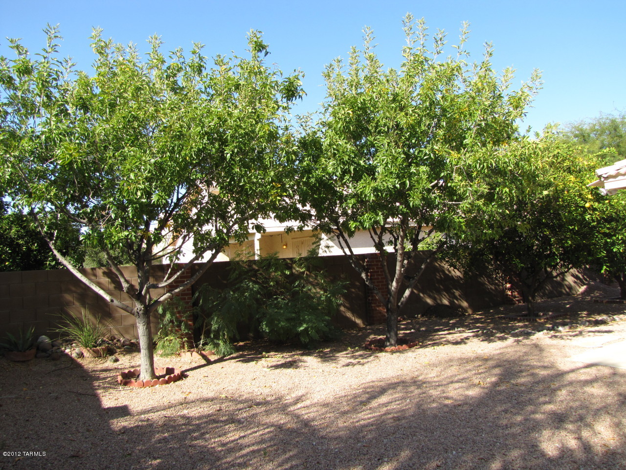 9608 Blue Ridge Mountain Street Tucson, AZ 85748 - Photo 21 of 22