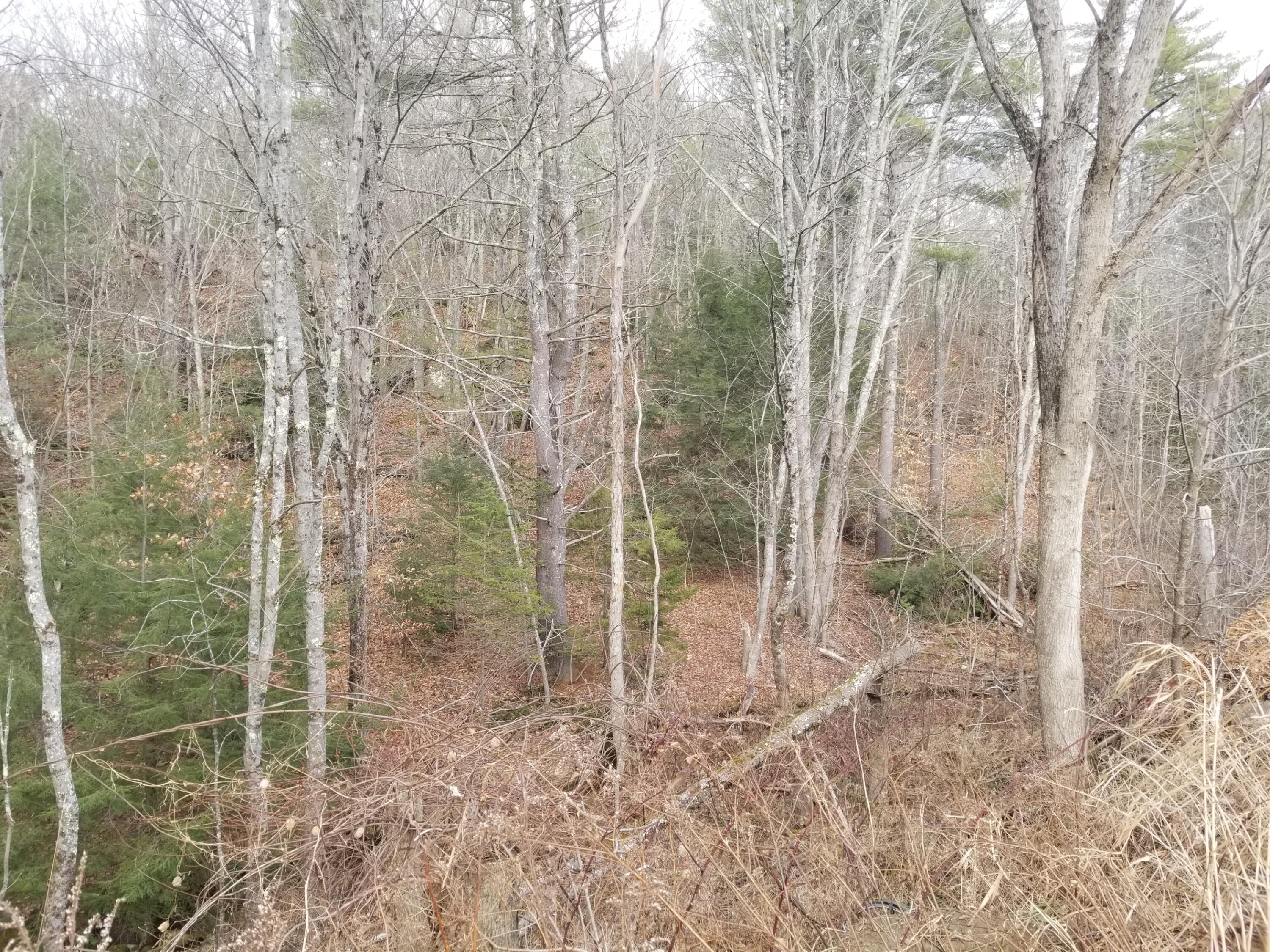 368 Meadow Road Woolwich, ME 04579 - Photo 12 of 27 20221215_111402