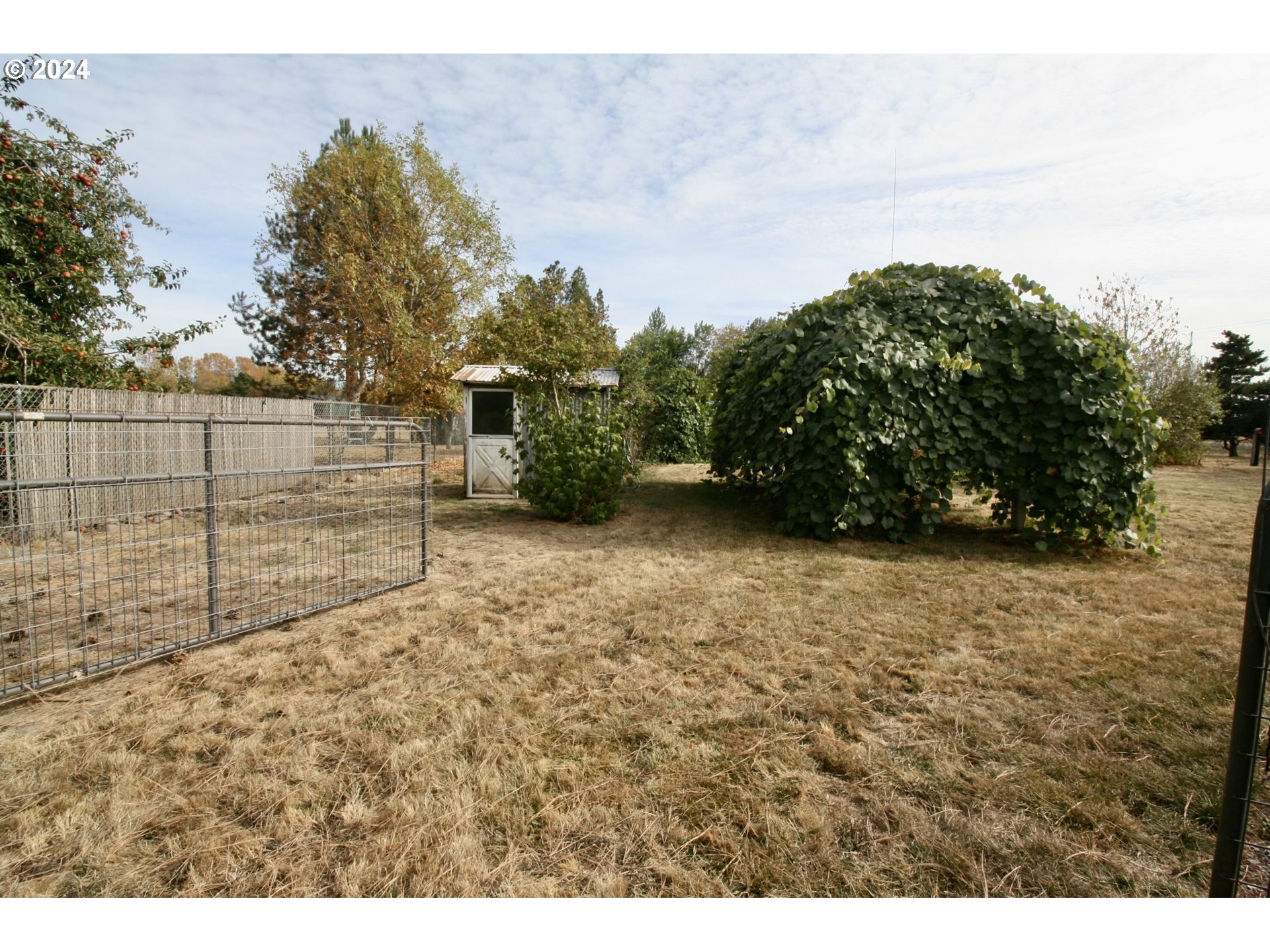 30178 South Sprague Road Molalla, OR 97038 - Photo 19 of 27 Gallery Image 19