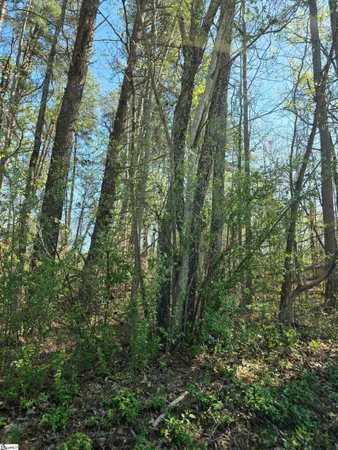 $72,000 | 102 Pine Drive, Taylors, SC 29687