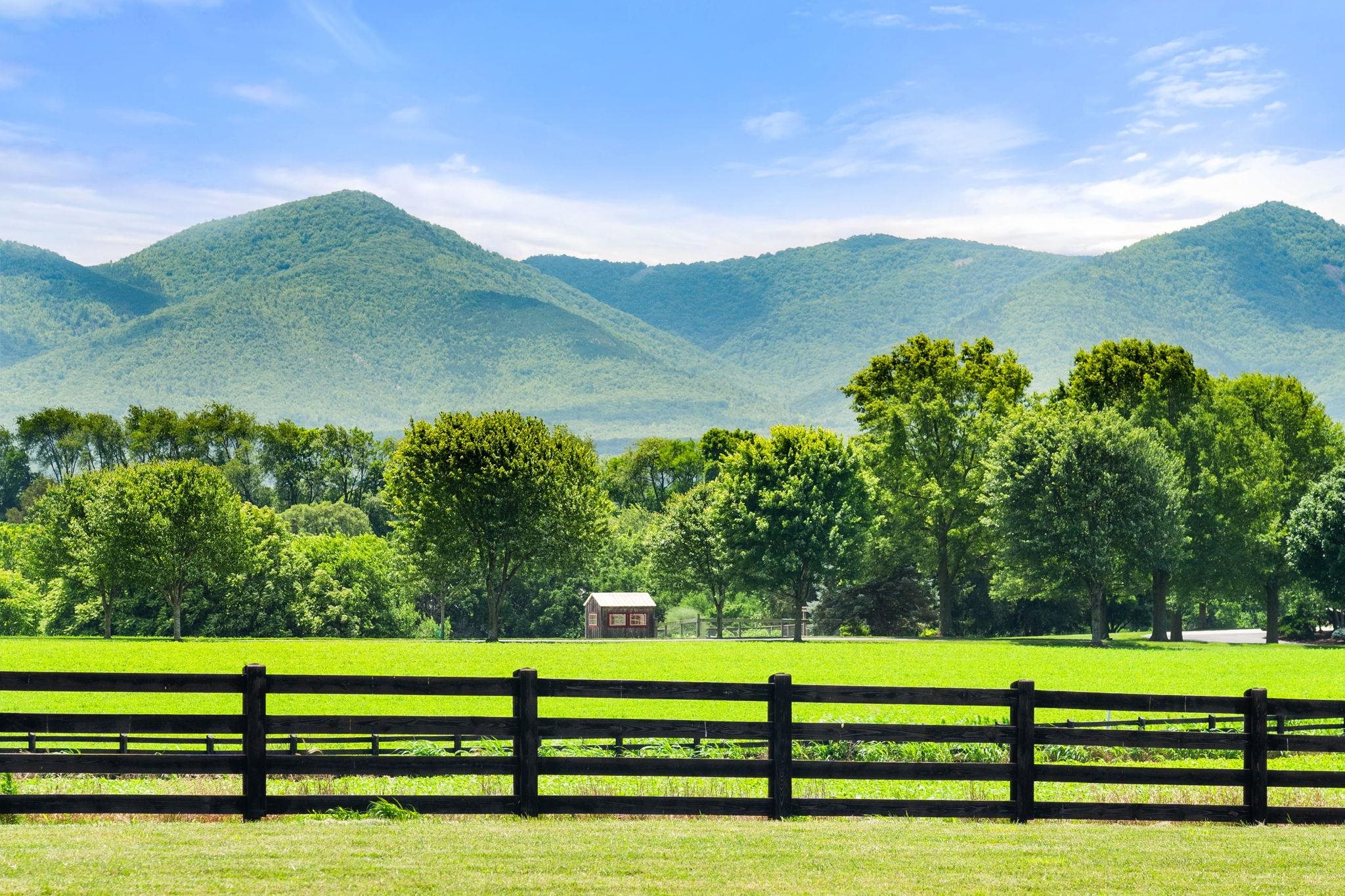 1614 Three Springs Road McGaheysville, VA 22840 - Photo 74 of 75 4 Board Wood Fencing
