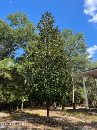 $595,000 | 6715 Canetuck Road, Currie, NC 28435