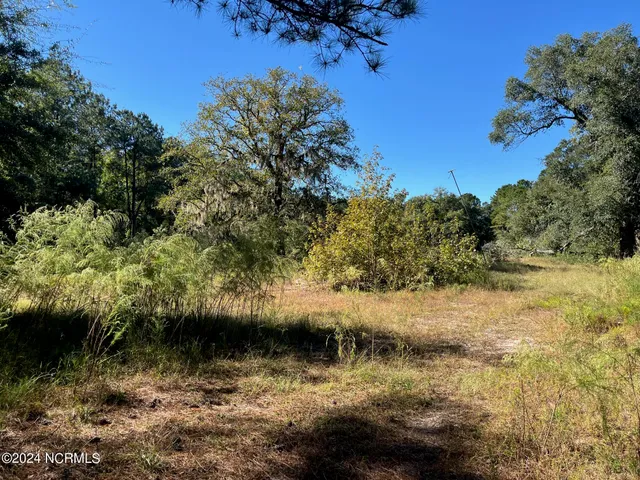 $679,000 | 6715 Canetuck Road, Currie, NC 28435