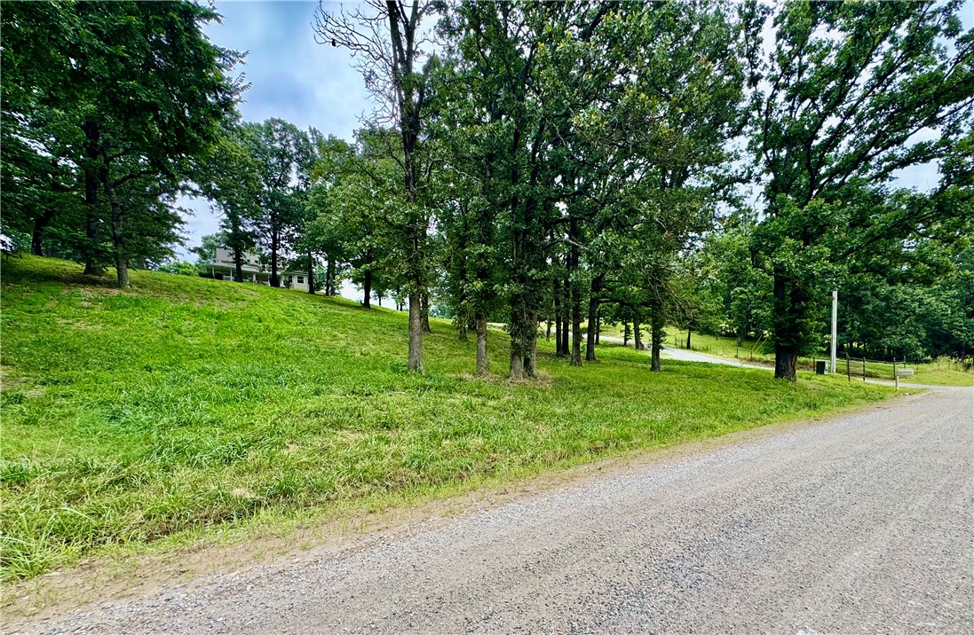 15196 Cincinnati Creek Road Summers, AR 72769 - Photo 6 of 42 Gravel road frontage with a verdant hillside ascending to a white two-story residence