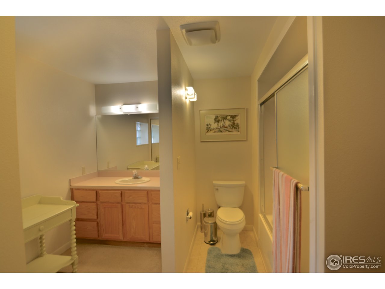 3500 Terry Lake Road Fort Collins, CO 80524 - Photo 24 of 36 Garden Level Basement Bathroom