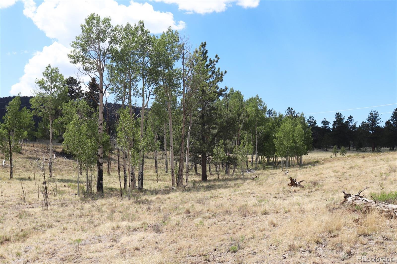 2026 Singletree Road Hartsel, CO 80449 - Photo 23 of 24 a view of outdoor space with trees