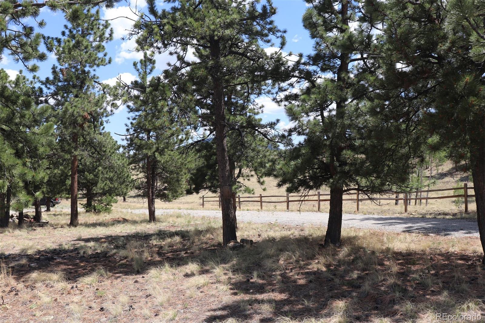 2026 Singletree Road Hartsel, CO 80449 - Photo 24 of 24 a view of empty space with lots of trees