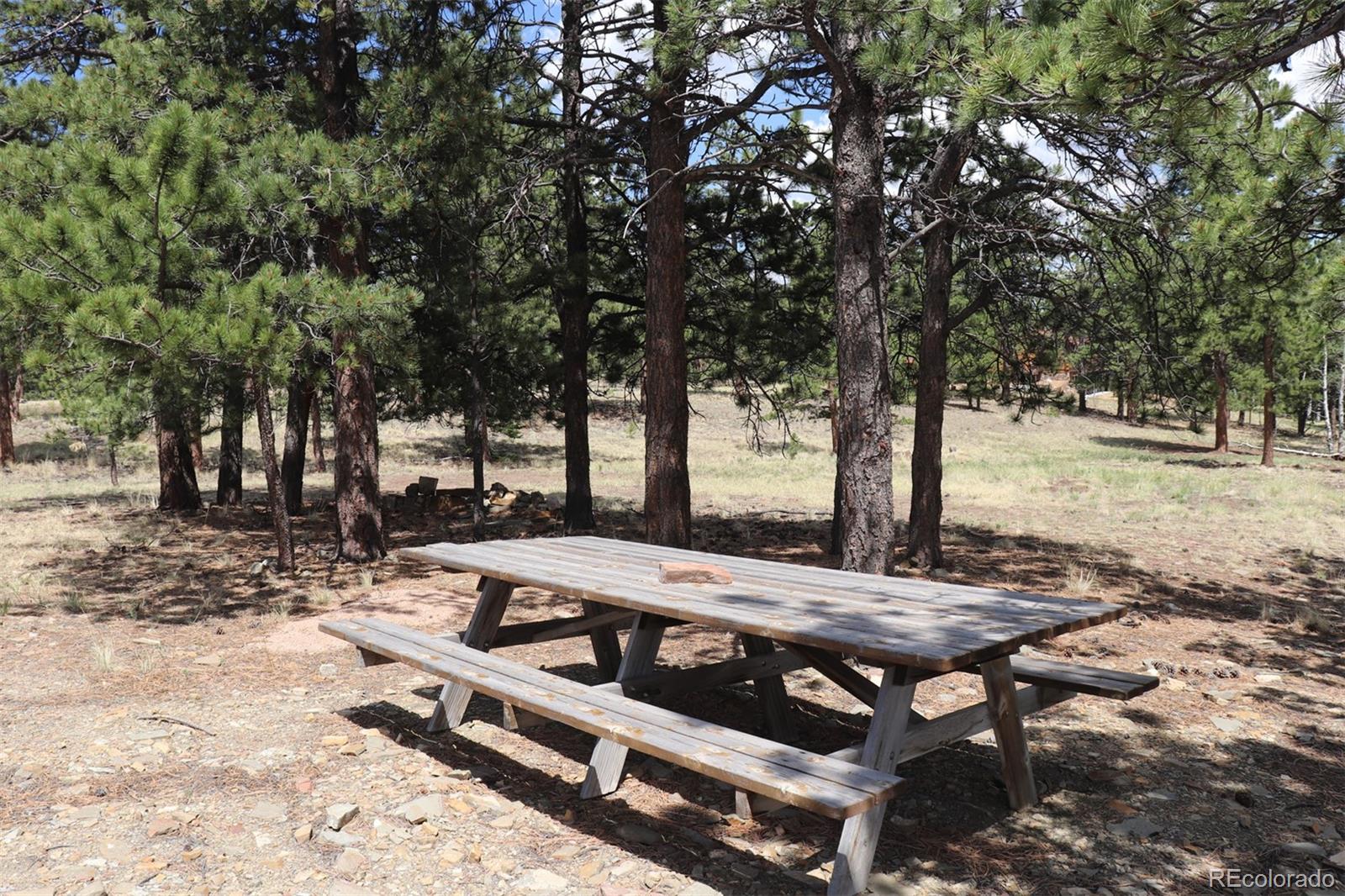 2026 Singletree Road Hartsel, CO 80449 - Photo 4 of 24 a view of a patio with wooden fence