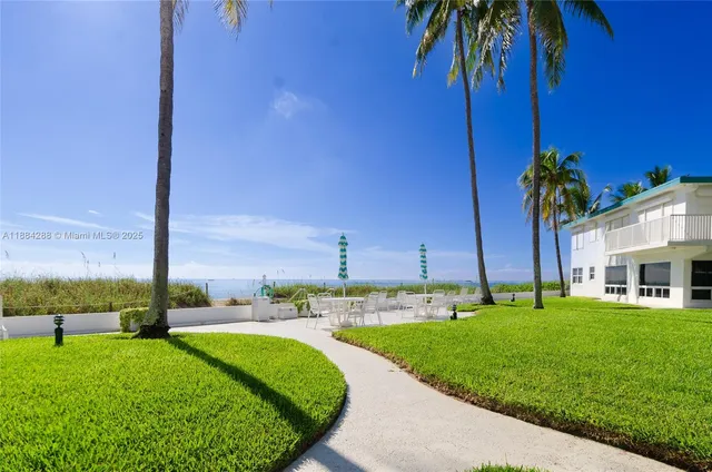a view of a garden with palm trees