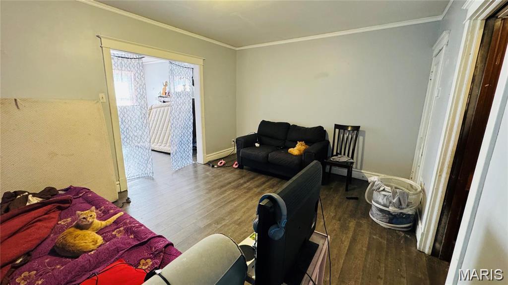 3823 Potomac Street St. Louis, MO 63116 - Photo 5 of 18