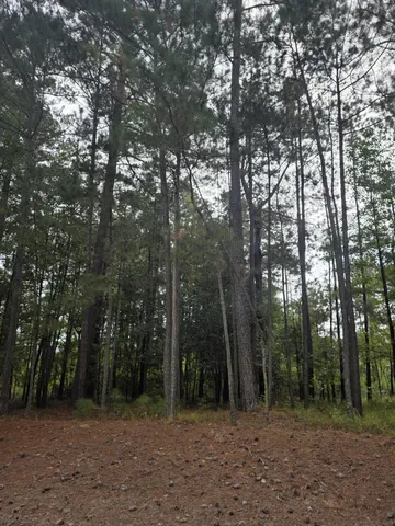 $449,999 | 5219 Riverwood Parkway, Evans, GA 30809