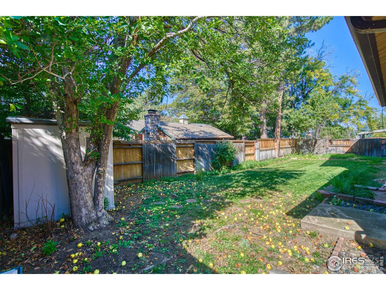 577 Blackhawk Road Boulder, CO 80303 - Photo 29 of 34 Fully fenced back yard with storage shed