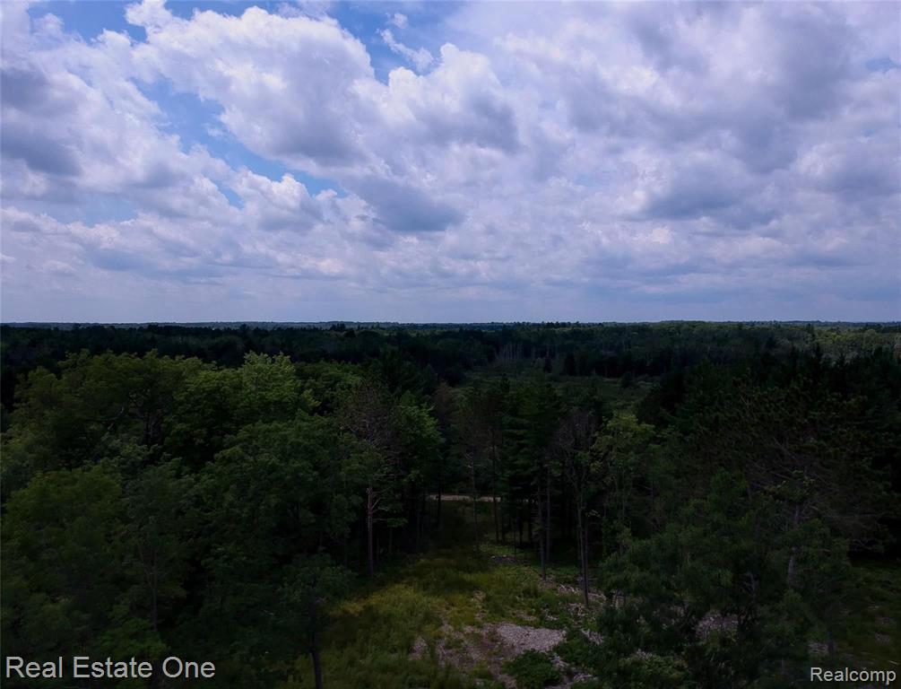 0 South Morrison Road West Branch, MI 48661 - Photo 29 of 38
