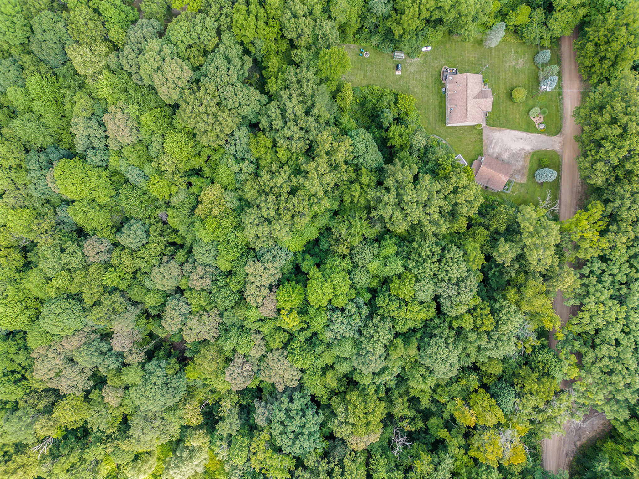 2946 Whites Bridge Road Lowell, MI 49331 - Photo 30 of 44 003_dji_0958
