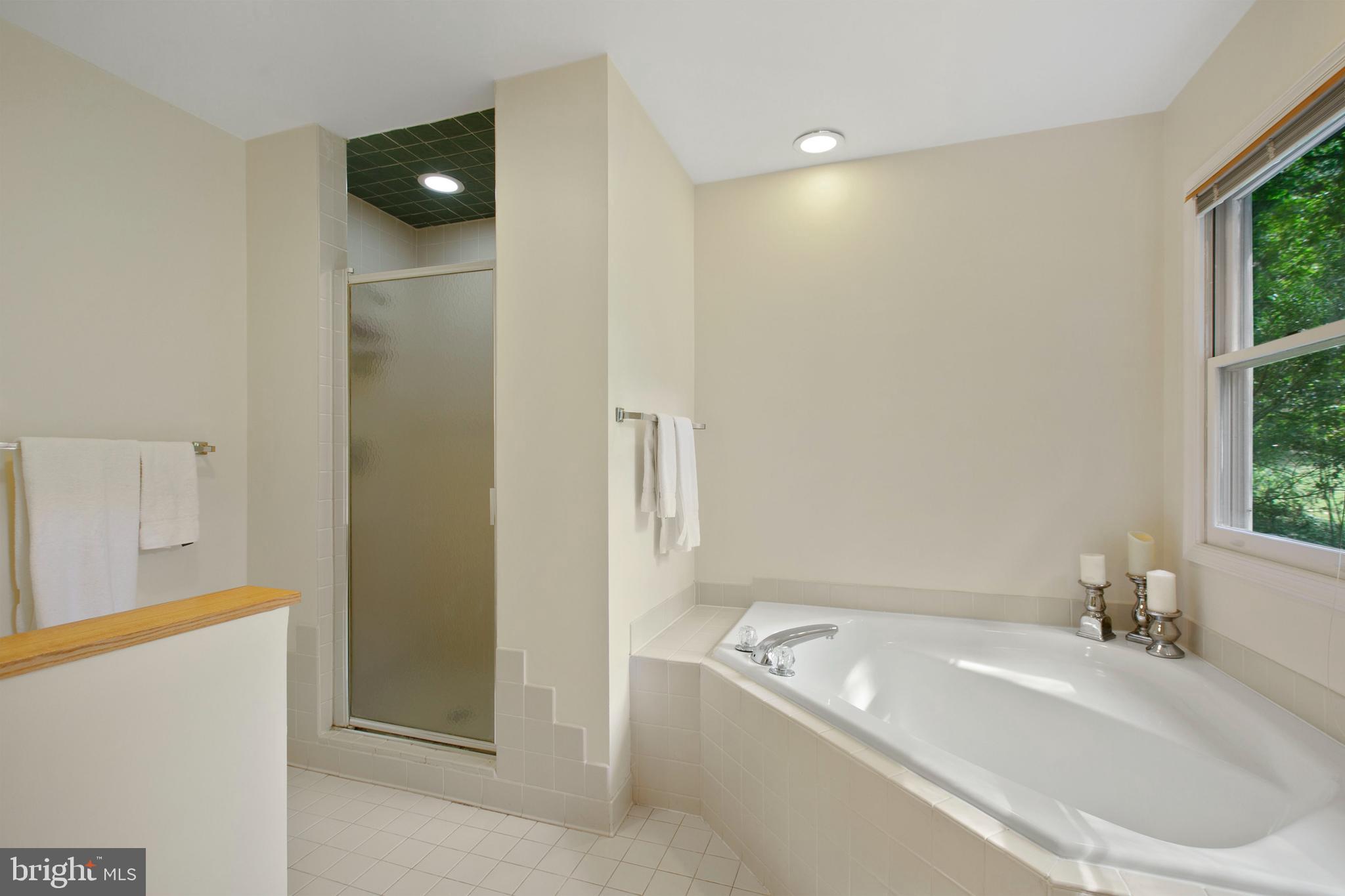 5814 Pimlico Road Baltimore, MD 21209 - Photo 26 of 58 Primary Bath with Large Soaking Tub